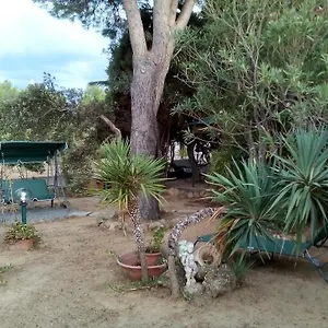 https://bb-il-vigneto.in-sardinia.net