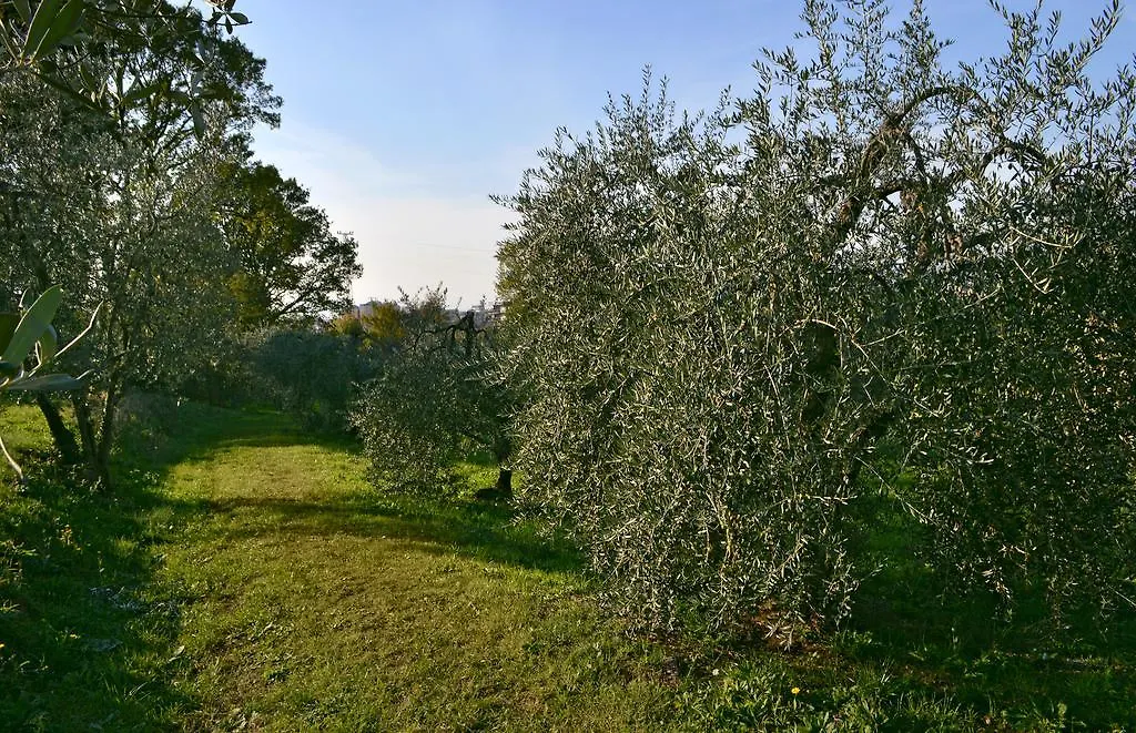 Armonie Di Villa Incontri B&B Firenze Panzió