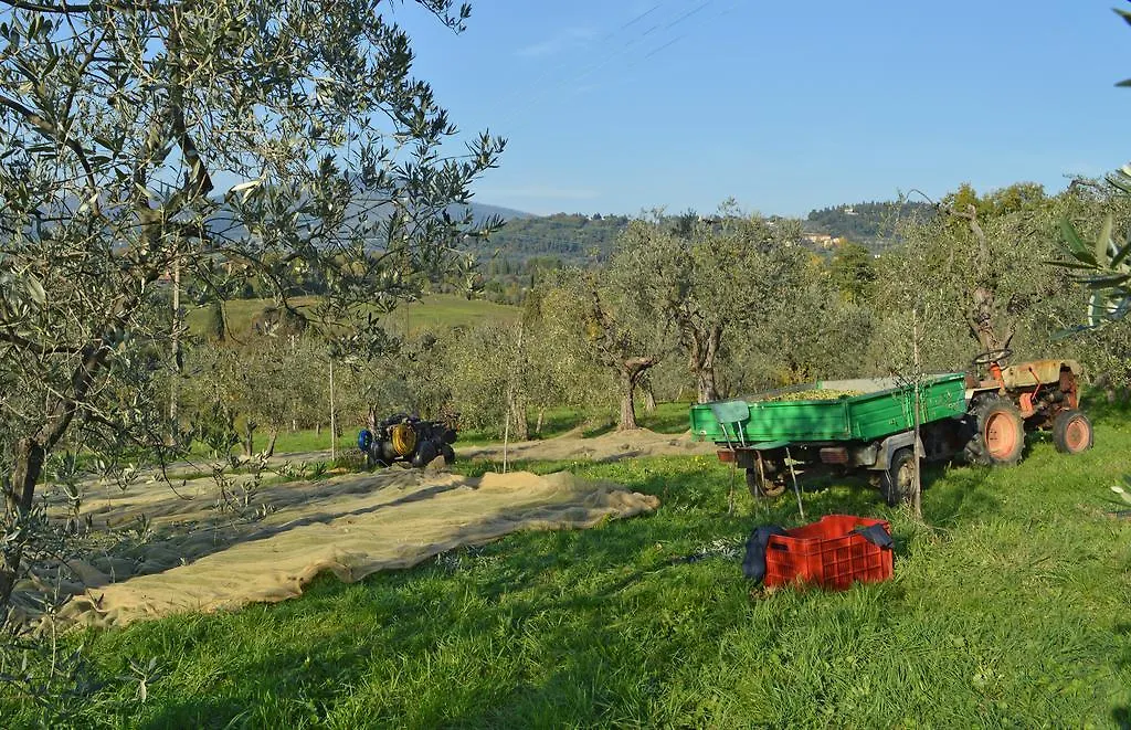 Armonie Di Villa Incontri B&B Firenze