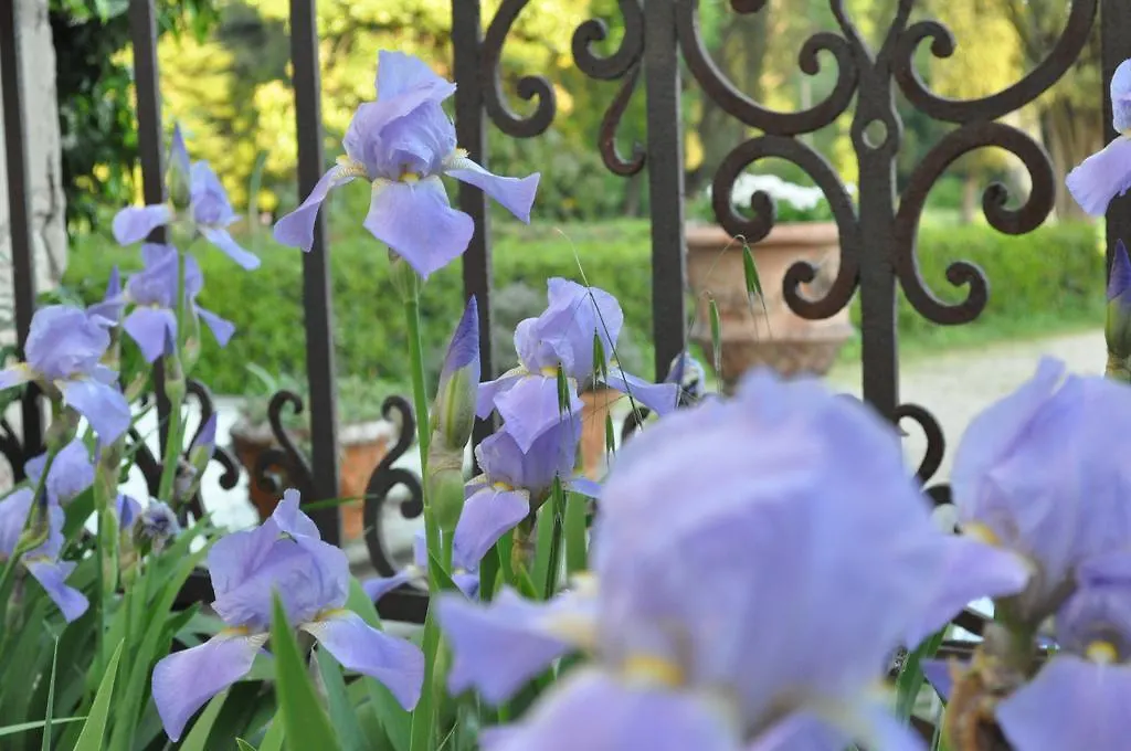 Bed & Breakfast Armonie Di Villa Incontri B&B Florence