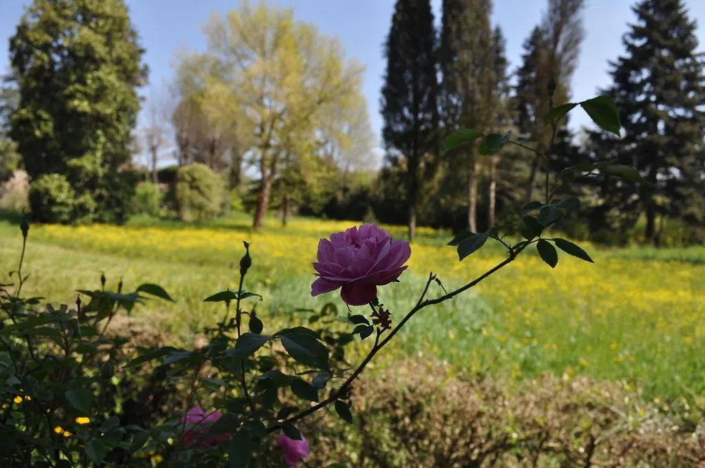 Armonie Di Villa Incontri B&B Florence 3*,  Italy