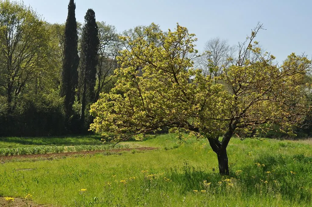 Armonie Di Villa Incontri B&B Florence 3*,  Italy